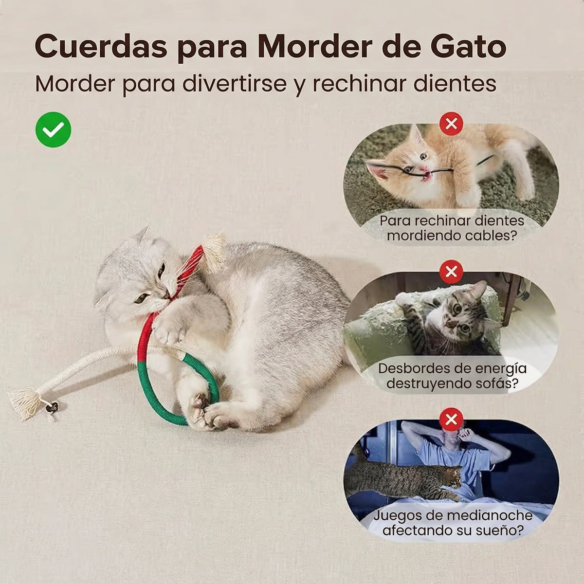 Pack 3 MuerdeCat