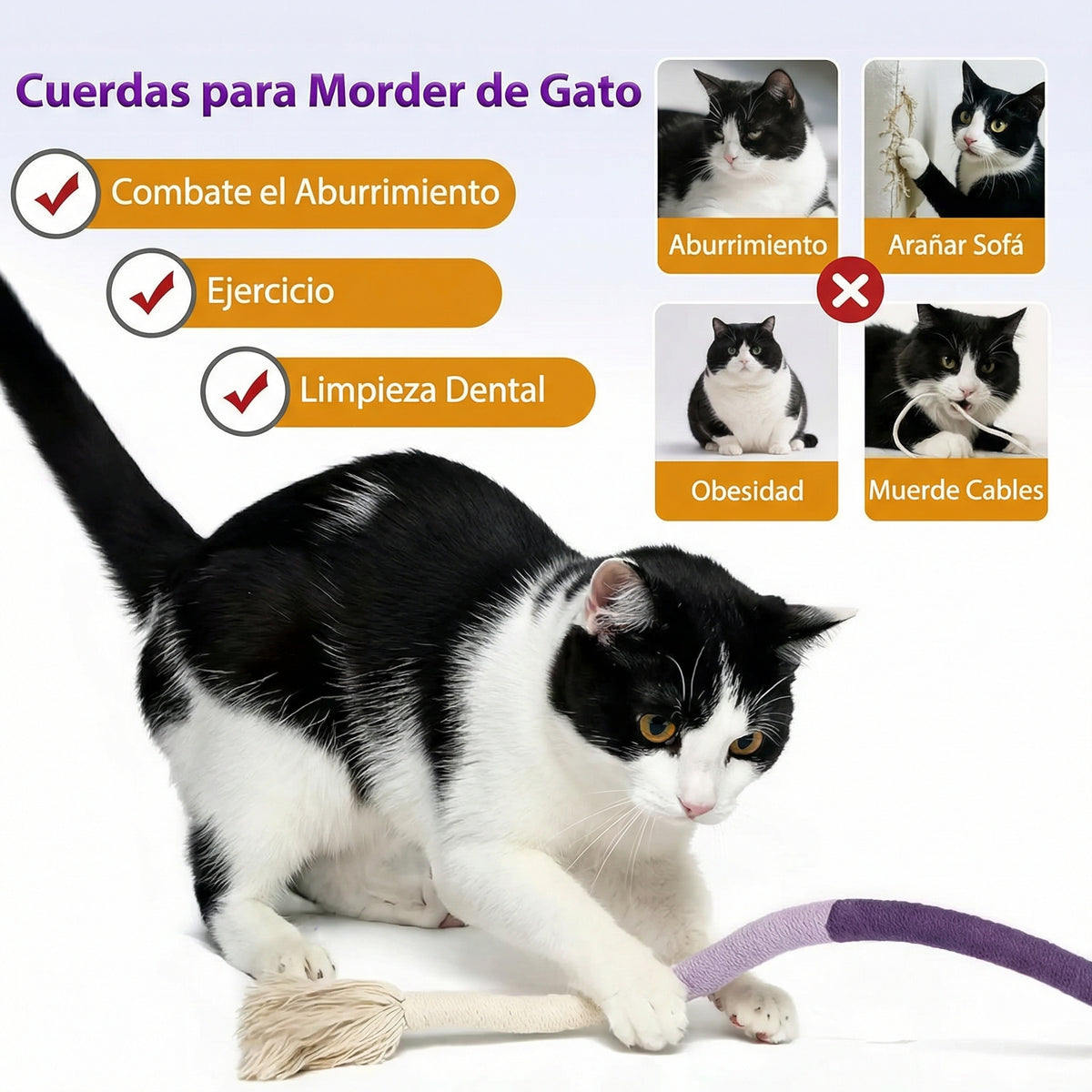 Pack 3 MuerdeCat