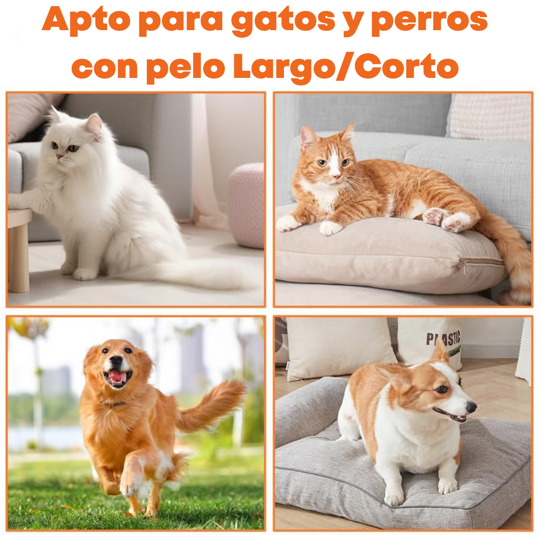 Cepillo a Vapor para Mascotas