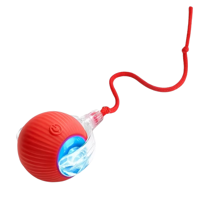 Pelota Interactiva