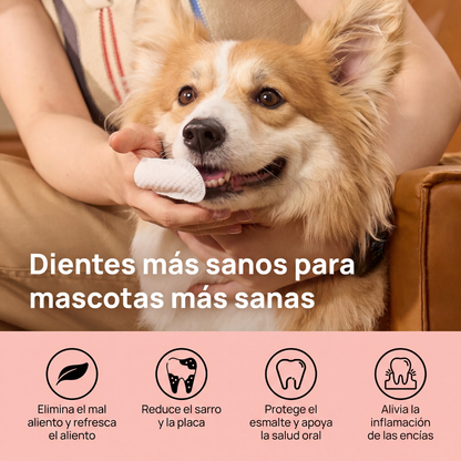Pack 3 Toallitas Dentales para Mascotas