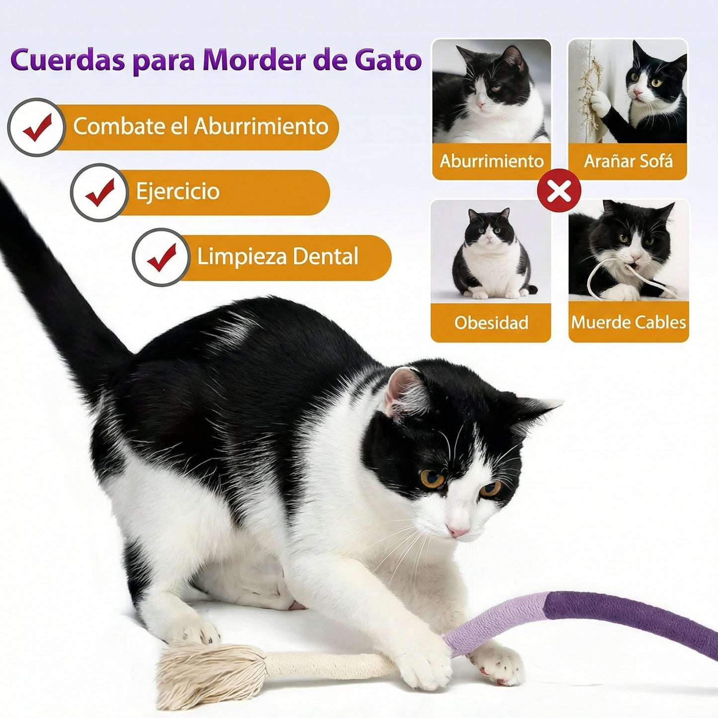 Pack 3 MuerdeCat