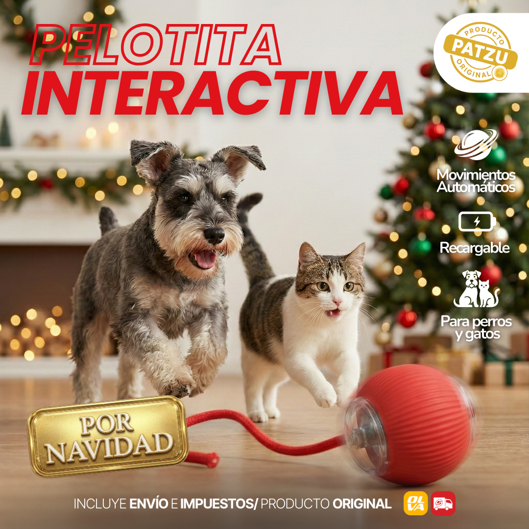 Pelota Interactiva