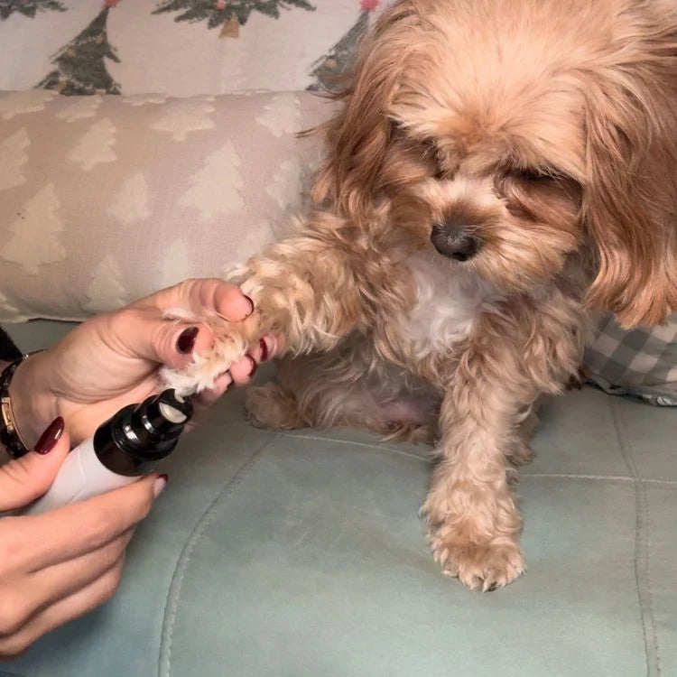 Pulidor de uñas slinecioso
