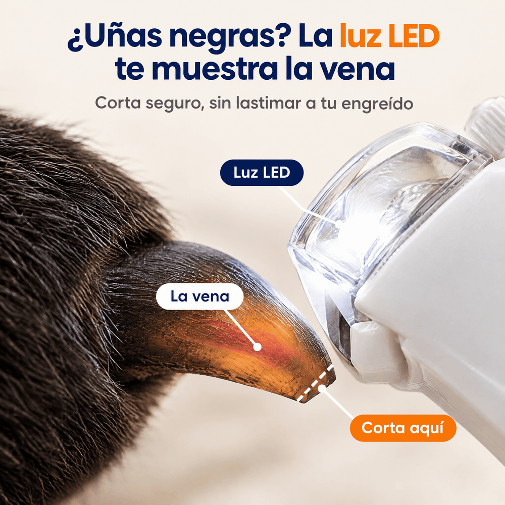 Corta Uñas + Lima Eléctrica